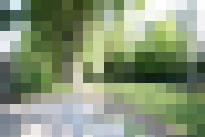 Image 15