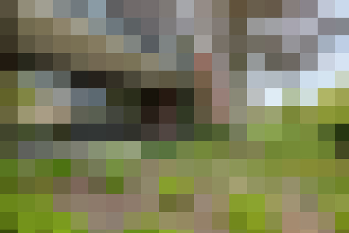 Image 23