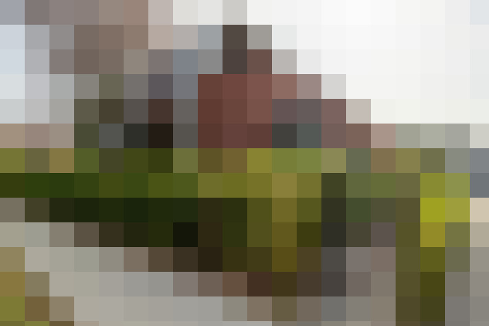Image 35