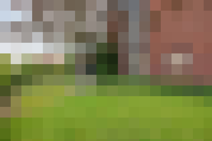Image 17