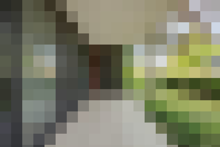 Image 24