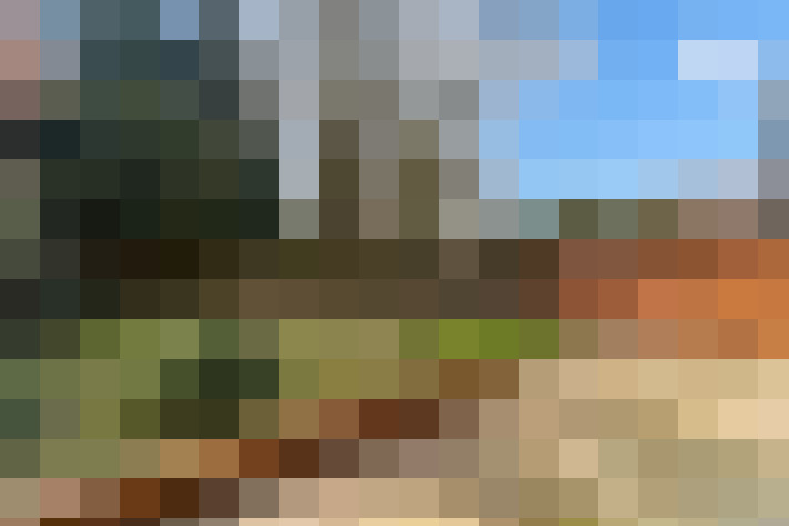 Image 36
