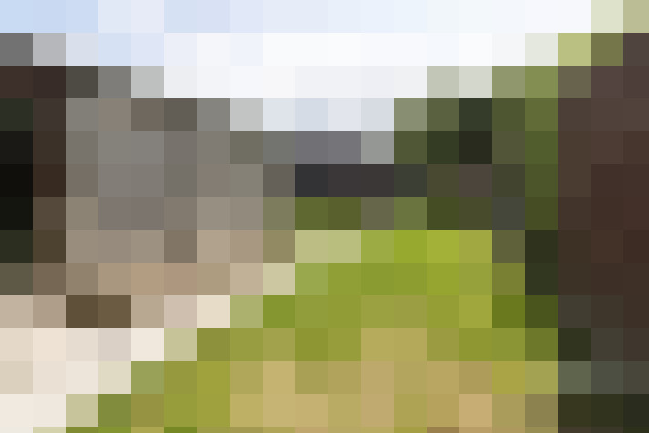 Image 17