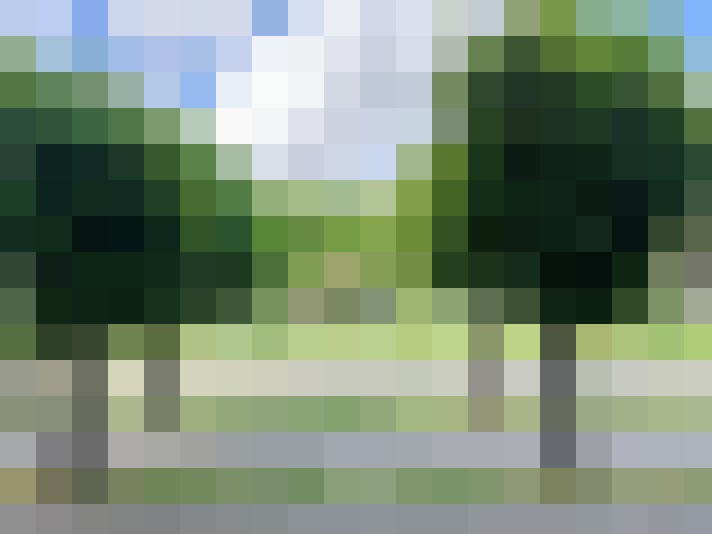 Image 13
