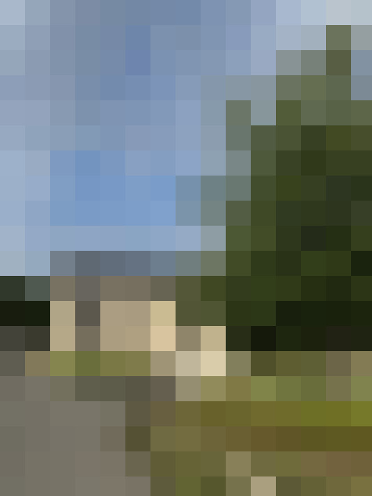 Image 14