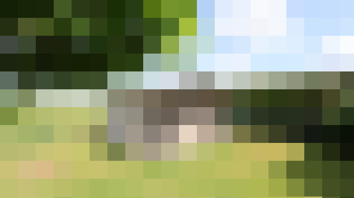 Image 20
