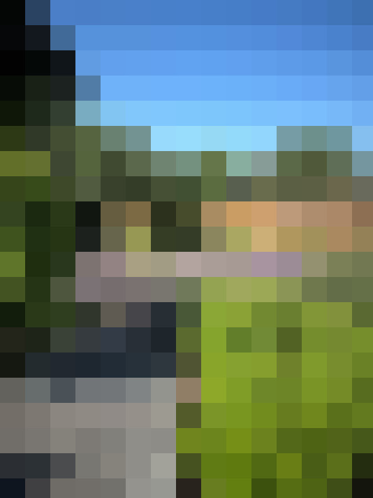 Image 17