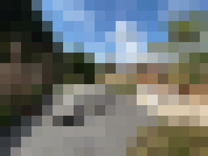 Image 15