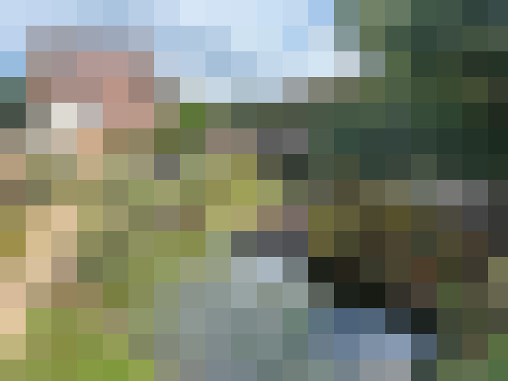 Image 16