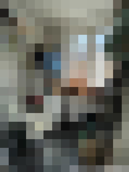Image 29