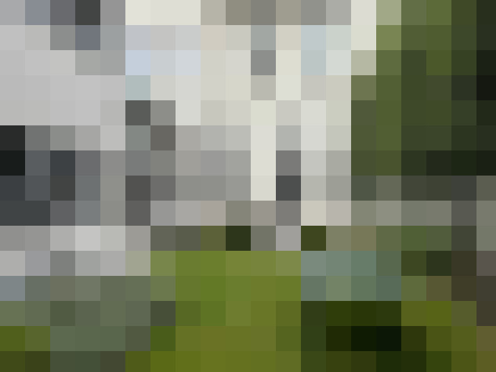 Image 23