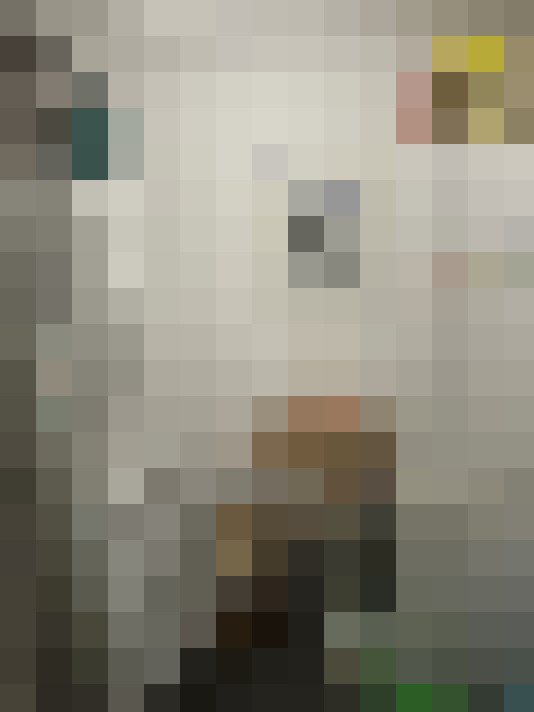 Image 25