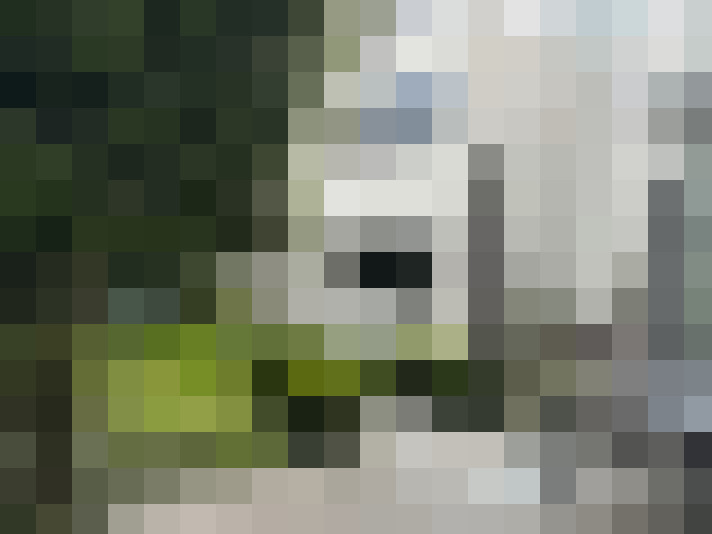 Image 22