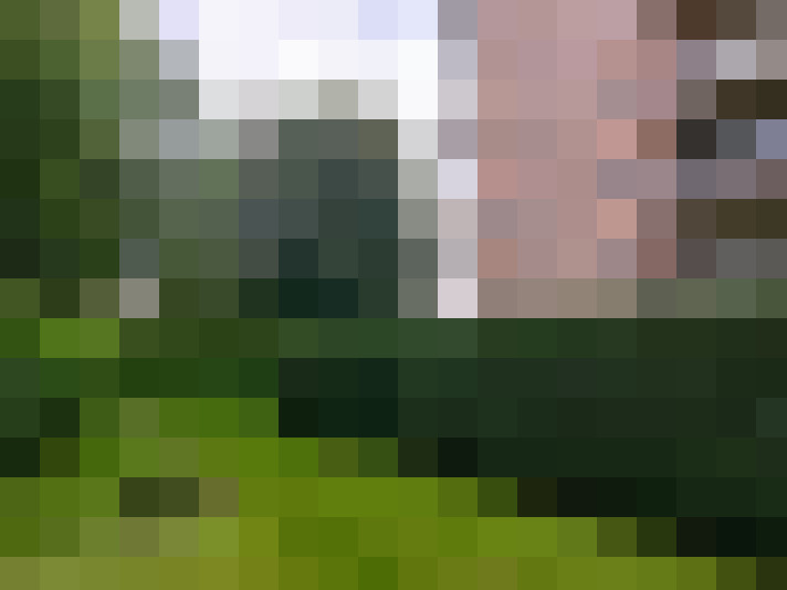 Image 20