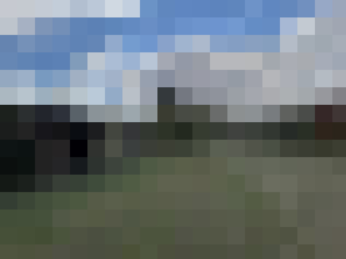 Image 16