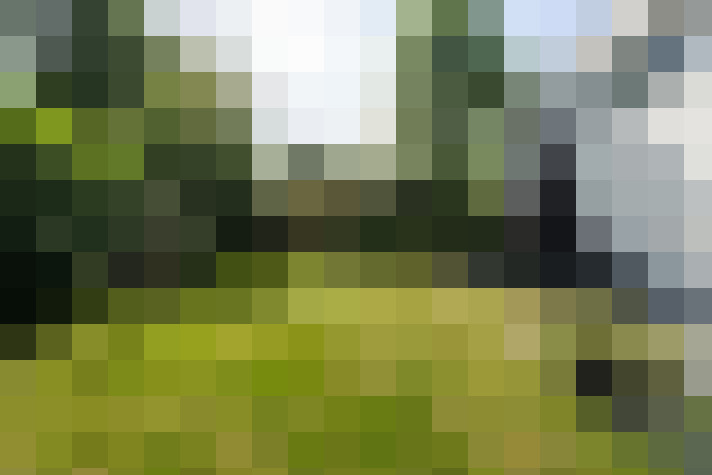 Image 15