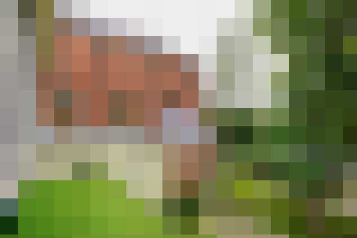 Image 13