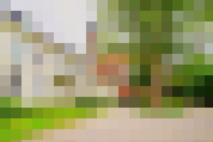 Image 16