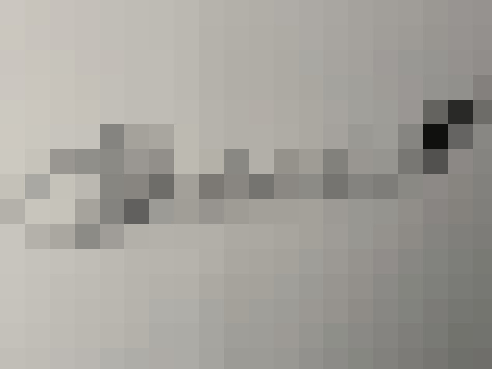 Image 29