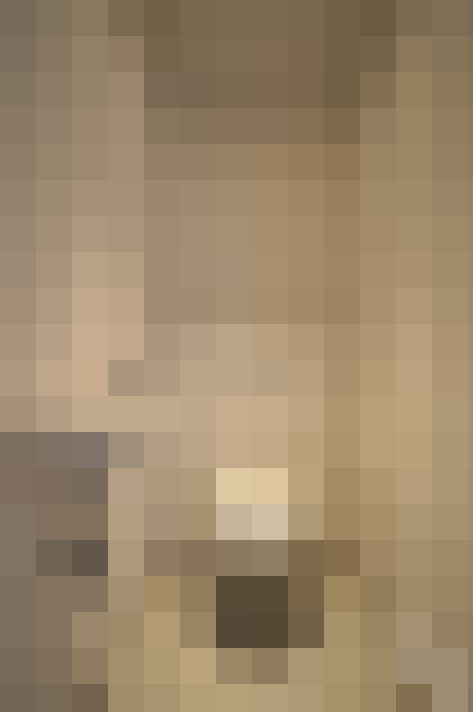 Image 47