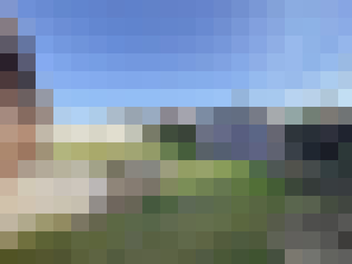 Image 22
