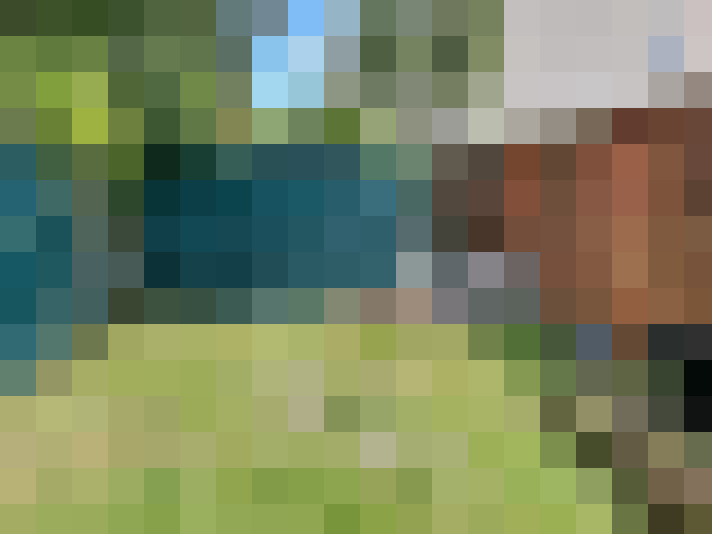Image 17
