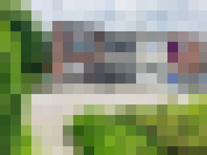 Image 23