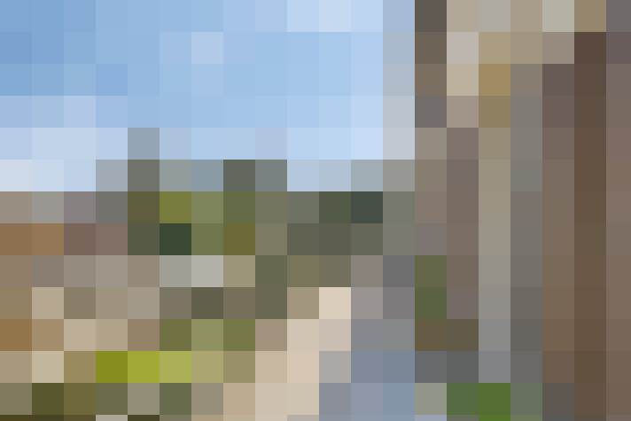 Image 21
