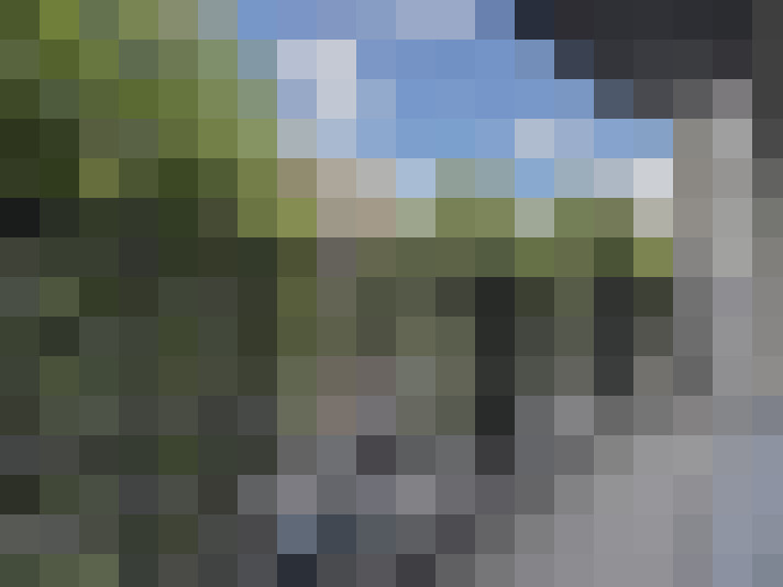 Image 14