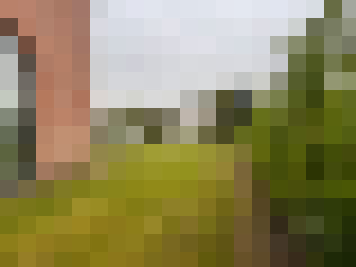 Image 17