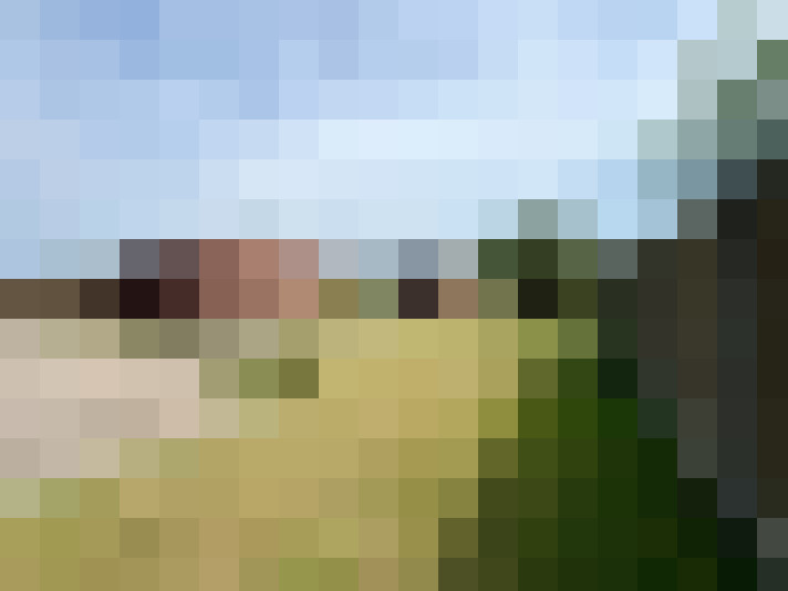 Image 22
