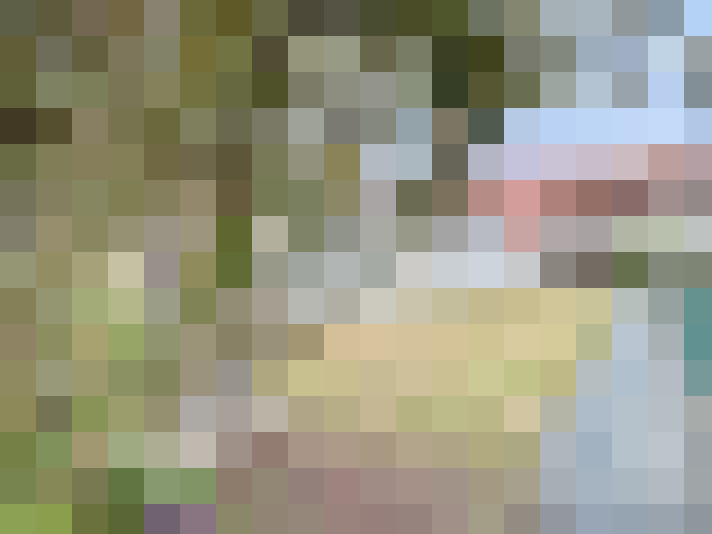 Image 13