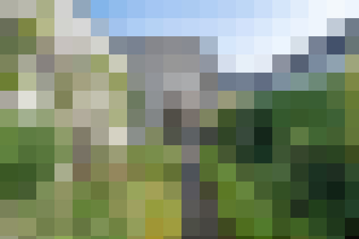 Image 17