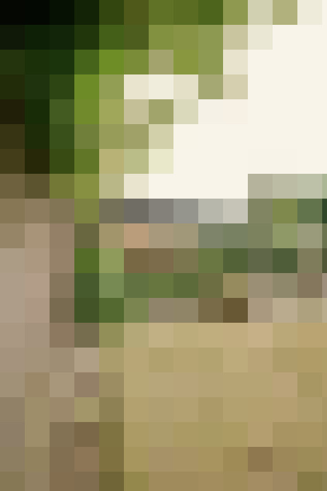 Image 18