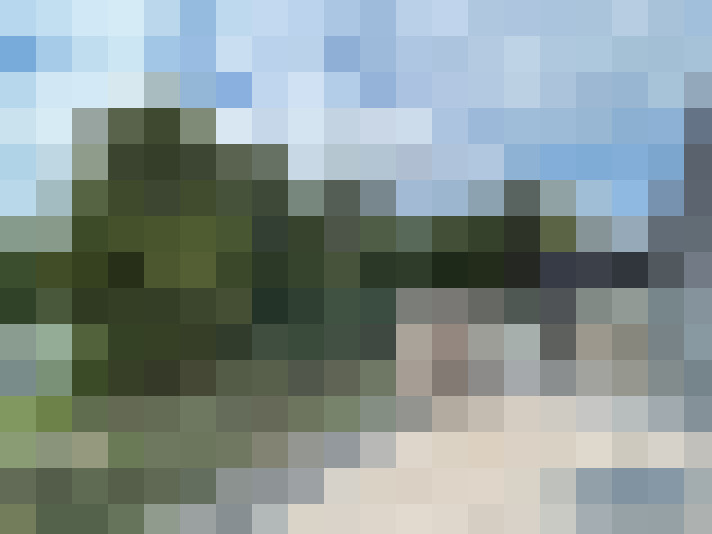 Image 14