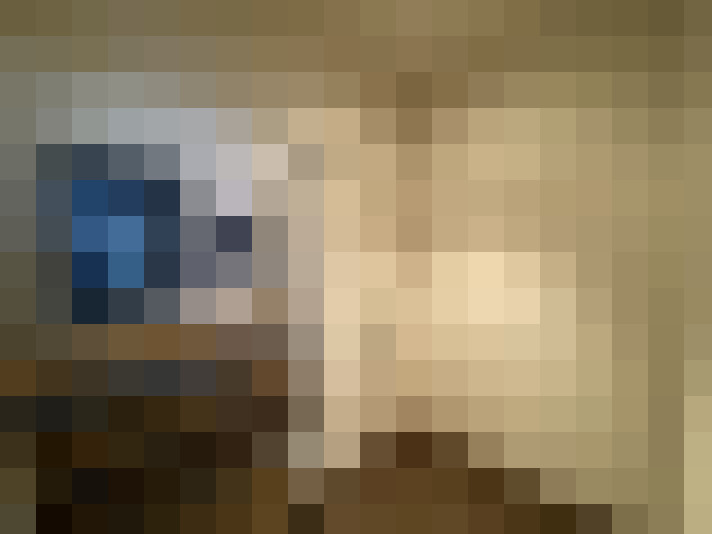 Image 14