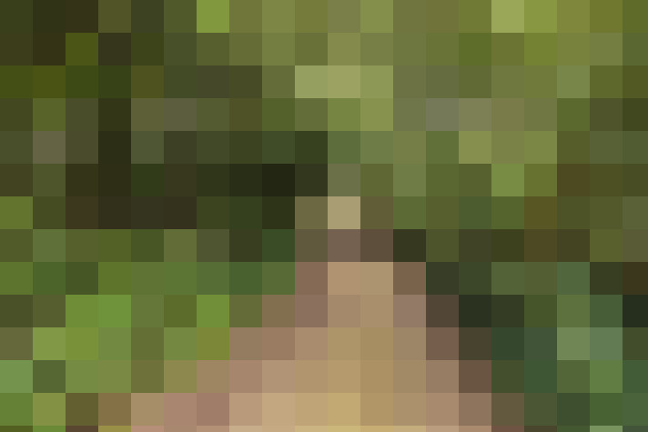 Image 27