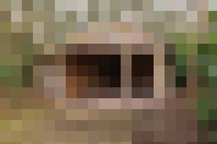 Image 30
