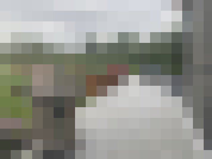 Image 16