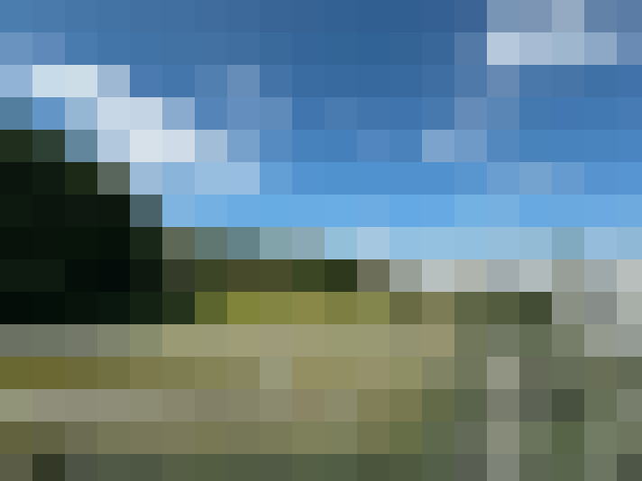Image 16