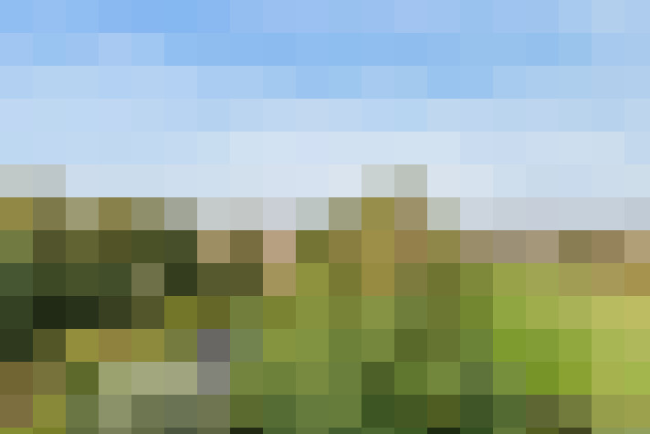 Image 16