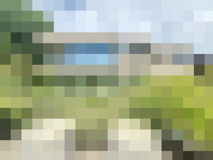 Image 16