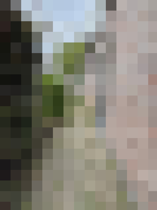 Image 18