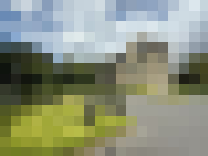 Image 23