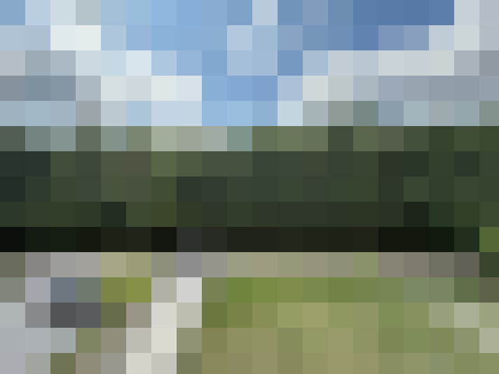 Image 22