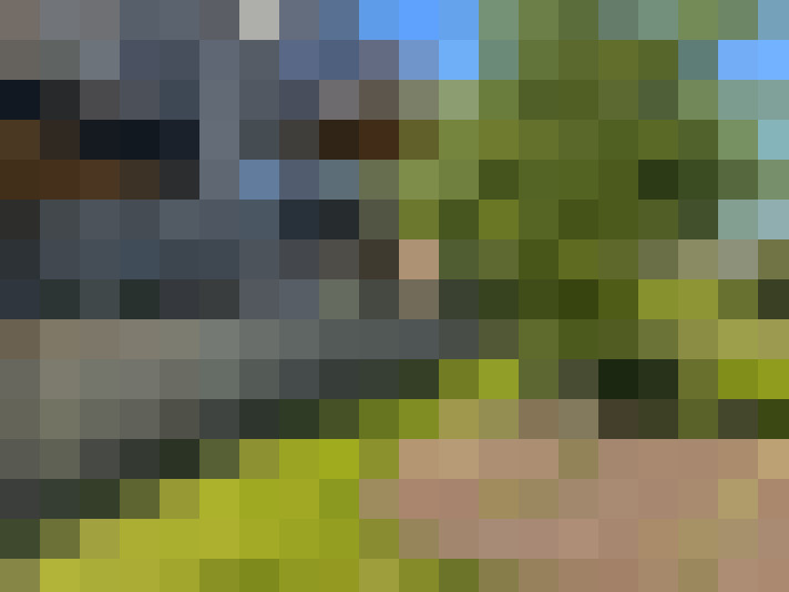 Image 16