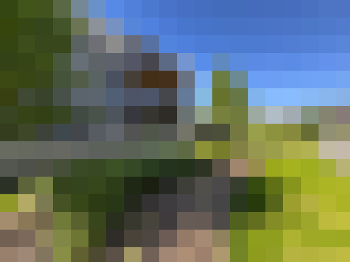 Image 17