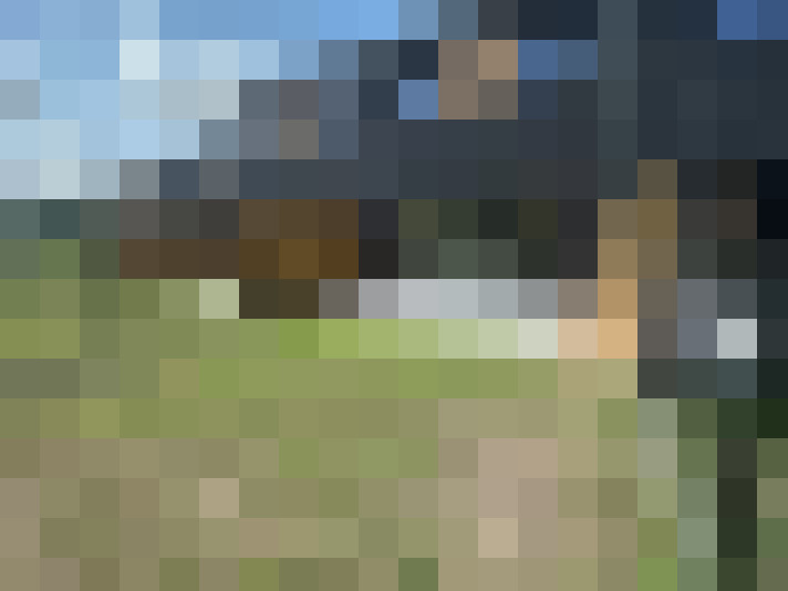Image 16