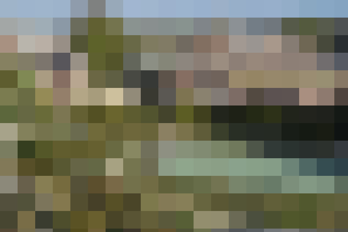 Image 13