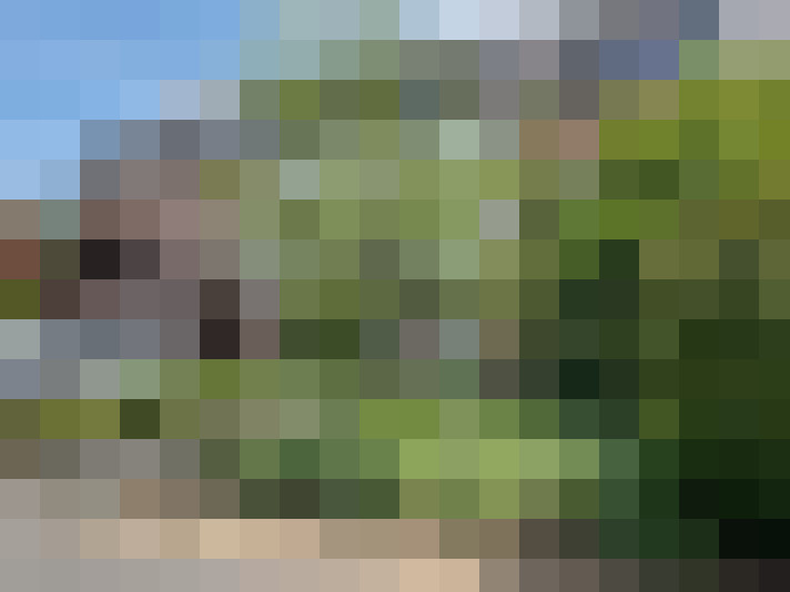 Image 21